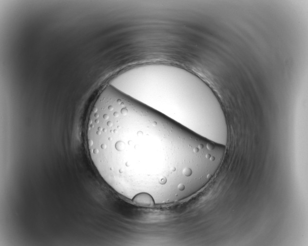 X0000088730347200705311120