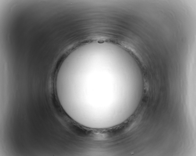 X0000088730352200705311120
