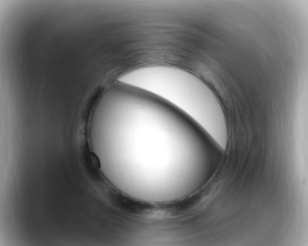 X0000088730356200705311120