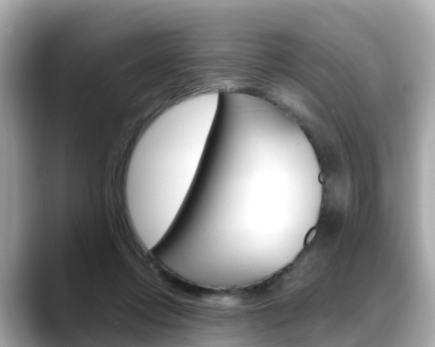 X0000088730358200705311120