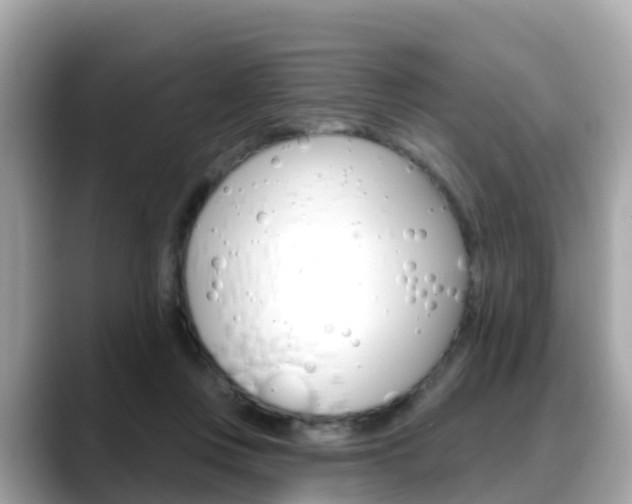 X0000088730359200705311120