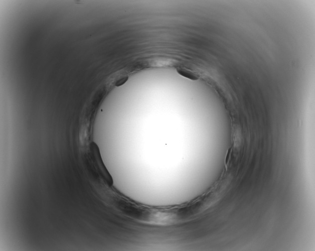 X0000088730360200705311120