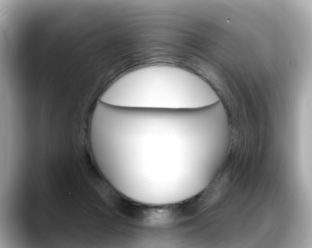 X0000088730361200705311120