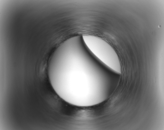 X0000088730364200705311120