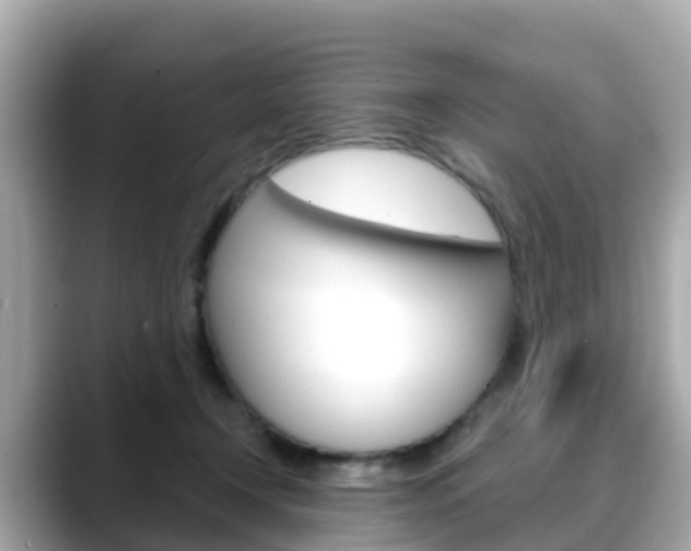 X0000088730366200705311120