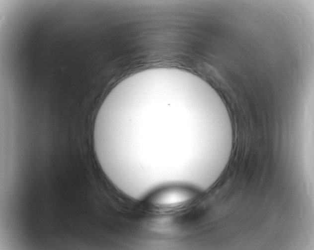 X0000088730368200705311120