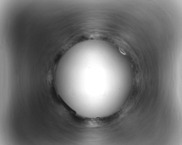 X0000088730372200705311120