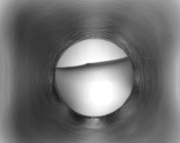 X0000088730374200705311120