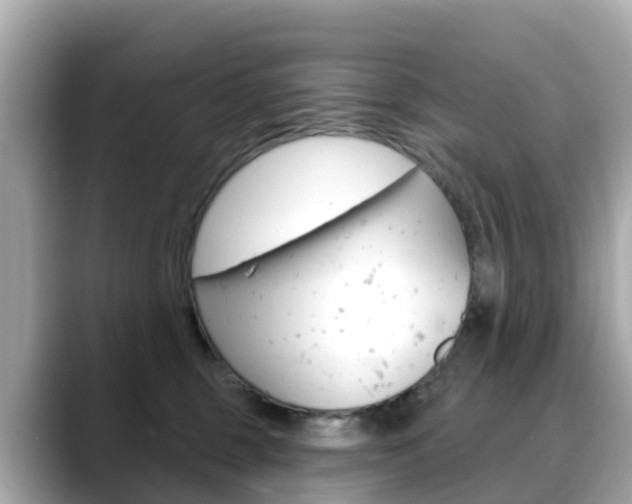 X0000088730375200705311120