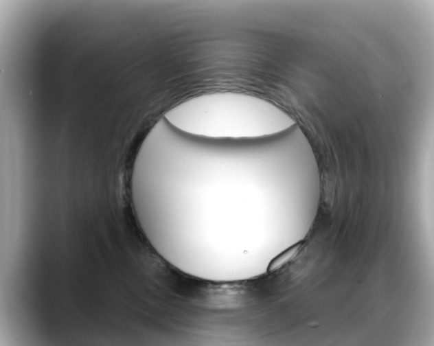 X0000088730378200705311120