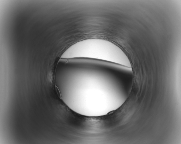 X0000088730380200705311120