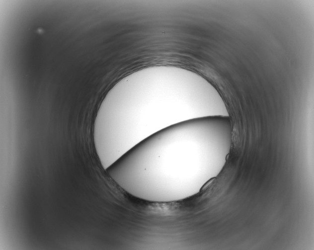X0000088730381200705311120