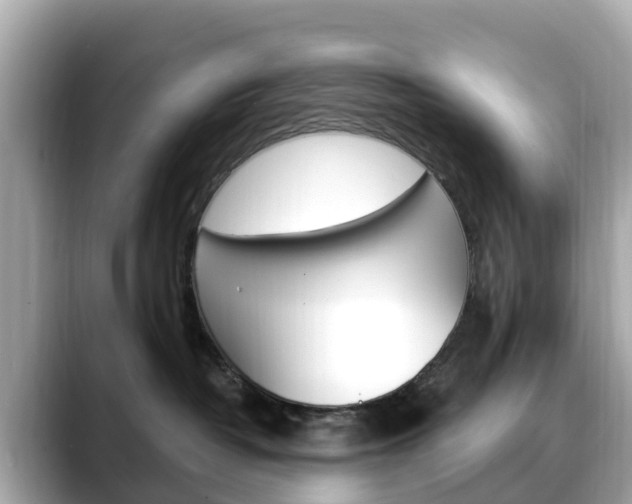 X0000088730382200705311120