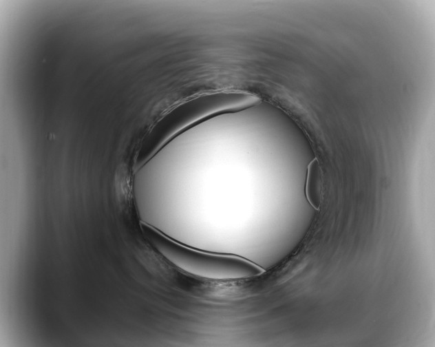 X0000088730384200705311120