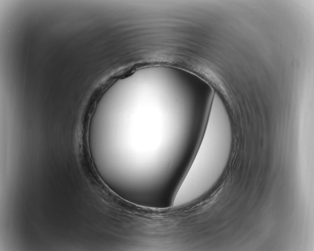 X0000088730388200705311119