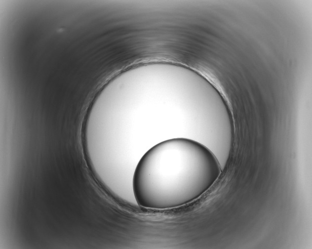 X0000088730389200705311119