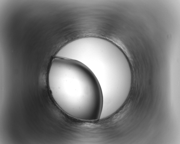 X0000088730393200705311119