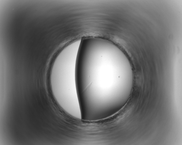 X0000088730395200705311119