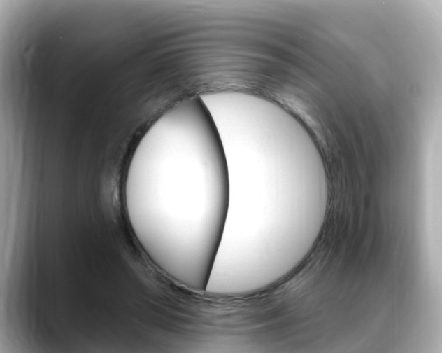 X0000088730398200705311119