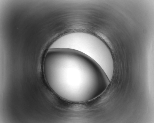 X0000088730399200705311119