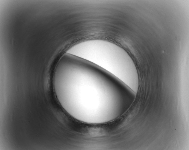 X0000088730400200705311119