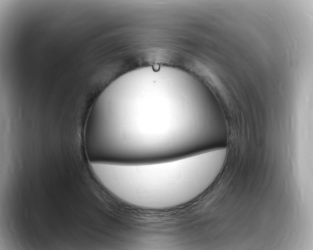 X0000088730401200705311119