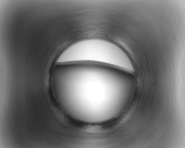 X0000088730403200705311119
