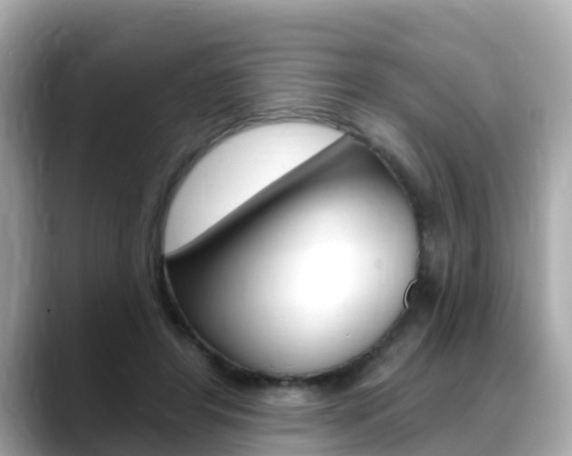 X0000088730404200705311119