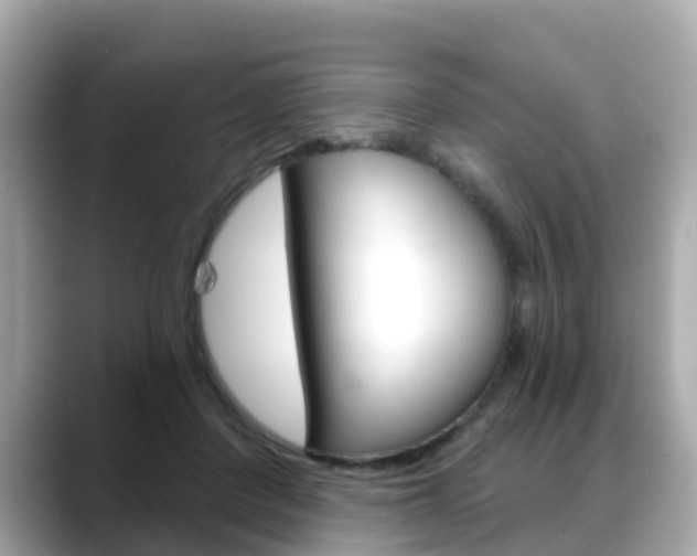 X0000088730408200705311119