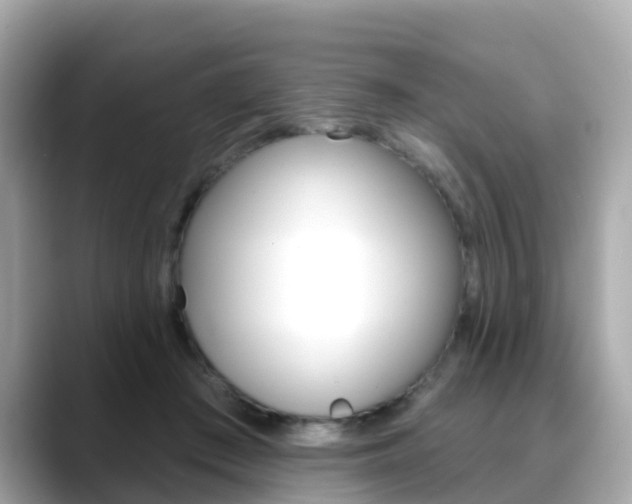 X0000088730409200705311119