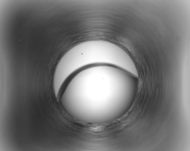 X0000088730411200705311119