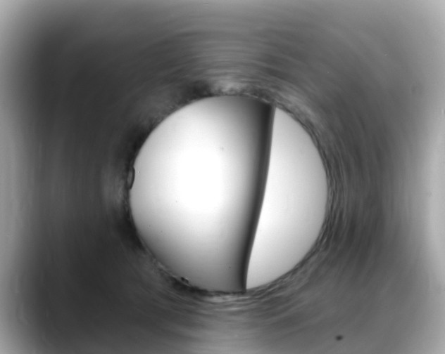 X0000088730417200705311119