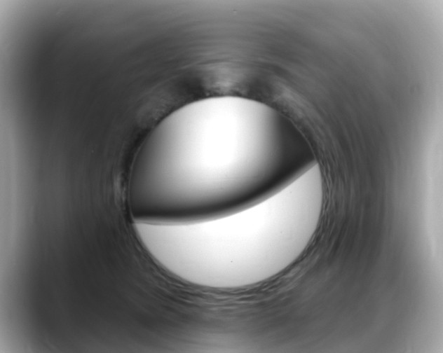 X0000088730420200705311119