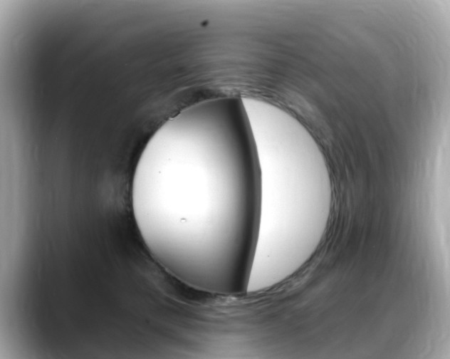 X0000088730421200705311119