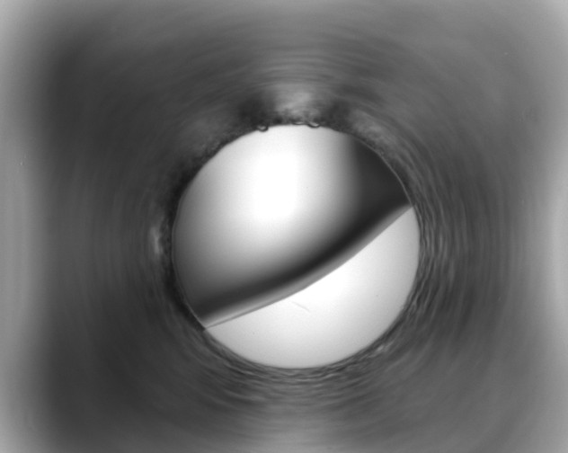 X0000088730424200705311119