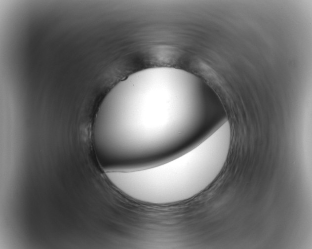 X0000088730425200705311119