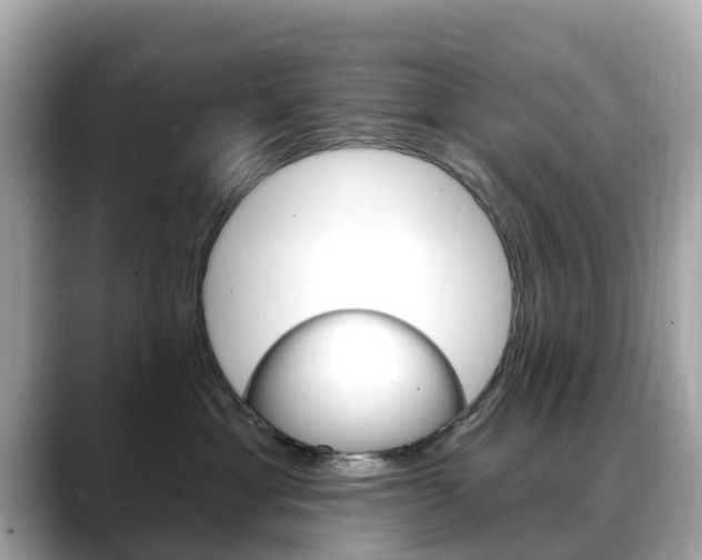 X0000088730429200705311119