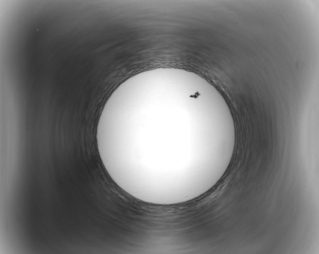 X0000088730432200705311119