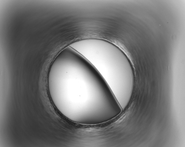 X0000088730433200705311118