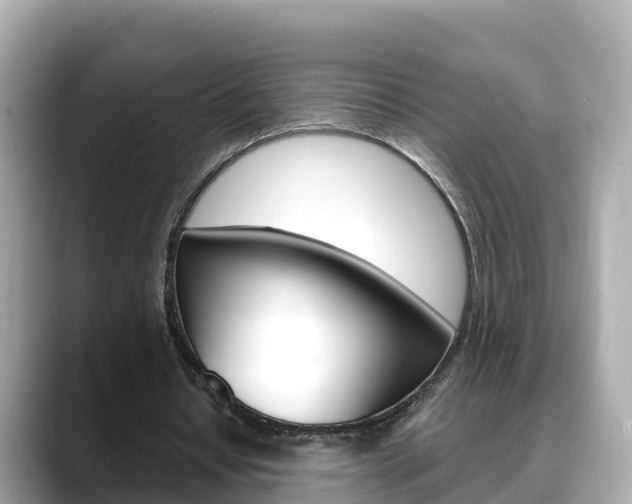 X0000088730434200705311118