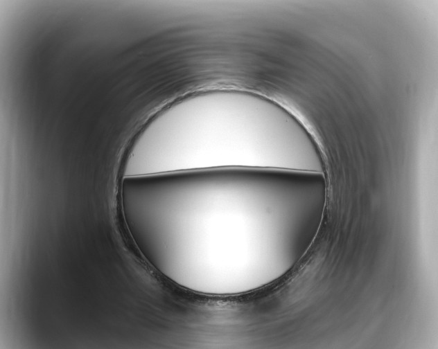 X0000088730437200705311118