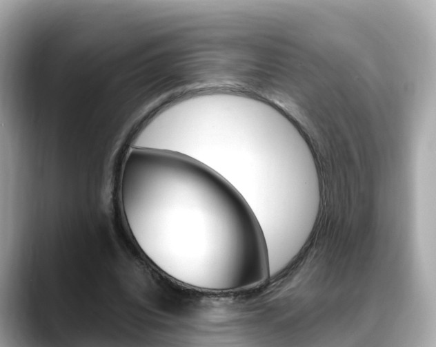 X0000088730440200705311118