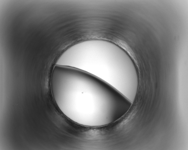 X0000088730441200705311118