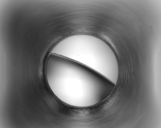 X0000088730443200705311118
