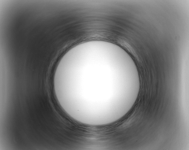 X0000088730444200705311118