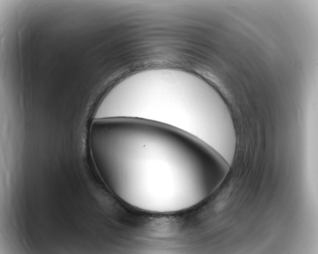 X0000088730446200705311118