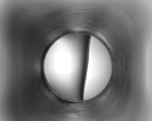 X0000088730447200705311118