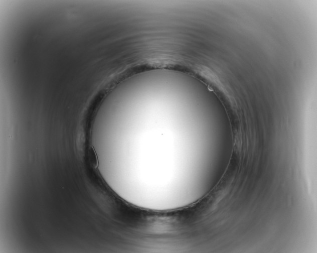X0000088730448200705311118