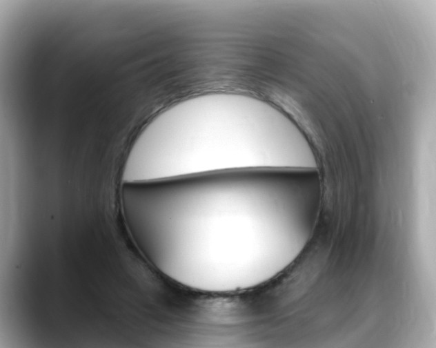 X0000088730449200705311118