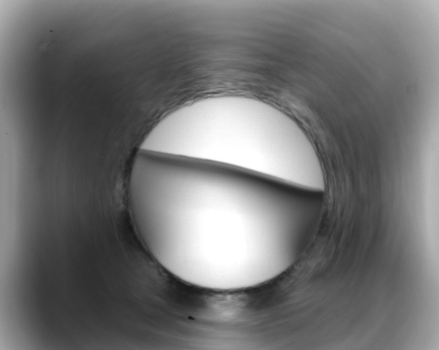 X0000088730465200705311119